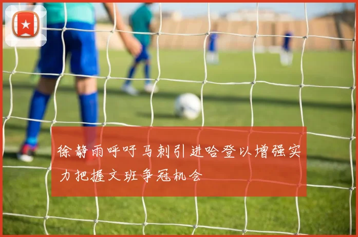徐静雨呼吁马刺引进哈登以增强实力把握文班争冠机会